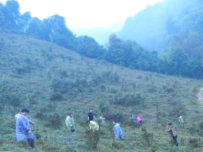 小红帽幼儿园,小红帽幼儿园官方网站,小红帽连